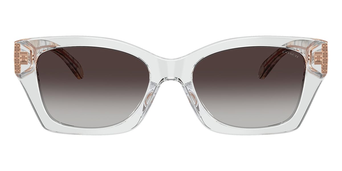 Coach Cdp49 HC8451U 5935/8G Sunglasses