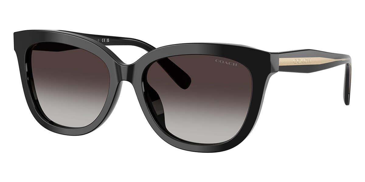 Coach Cdp53 HC8453U 5002/8G Sunglasses