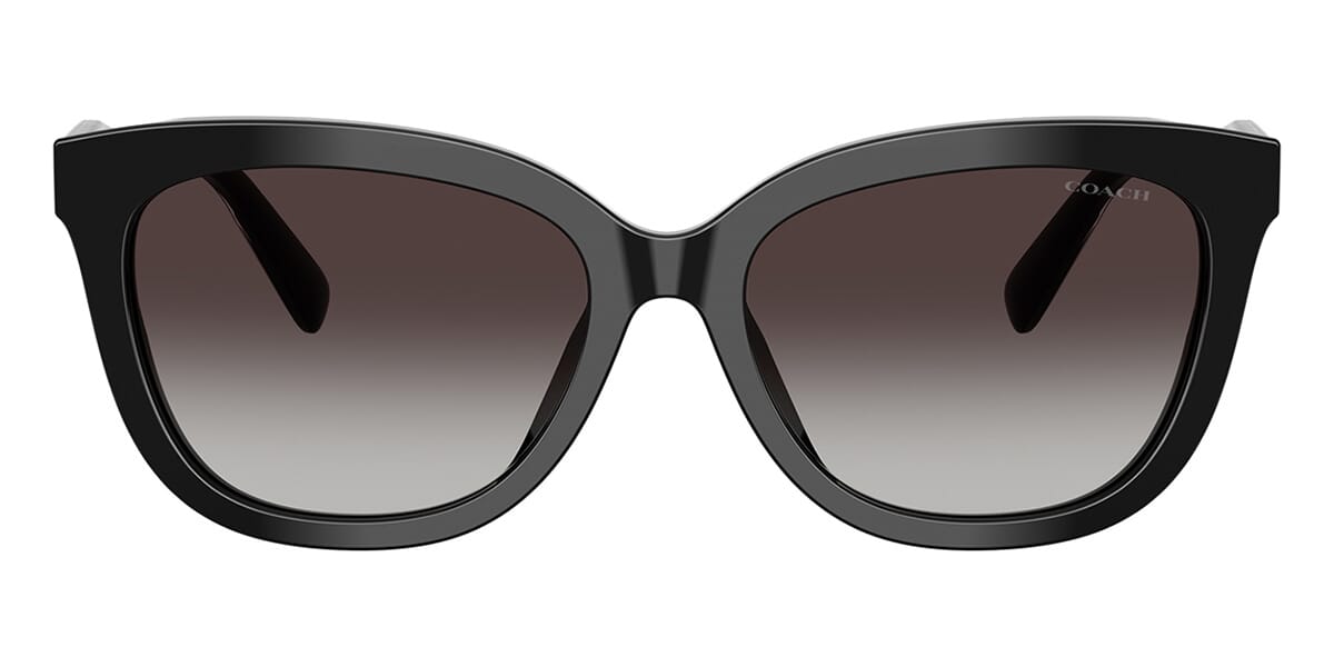 Coach Cdp53 HC8453U 5002/8G Sunglasses