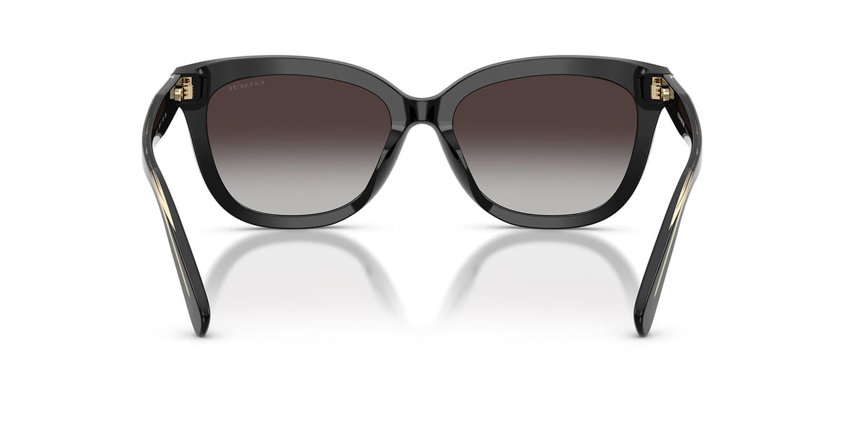 Coach Cdp53 HC8453U 5002/8G Sunglasses