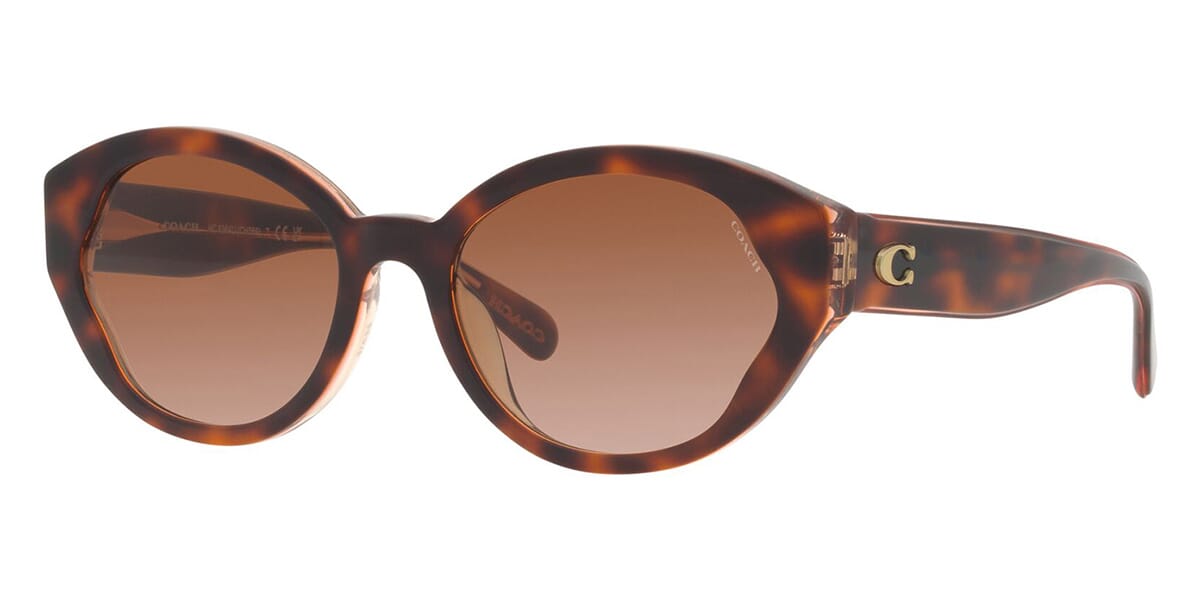 Coach oval hot sale sunglasses