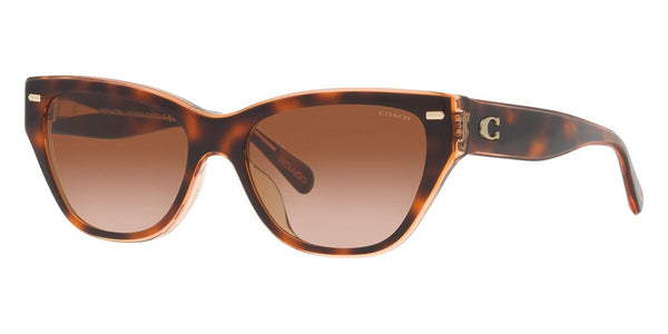 coach-ch570-hc8370u-574413-hd-
