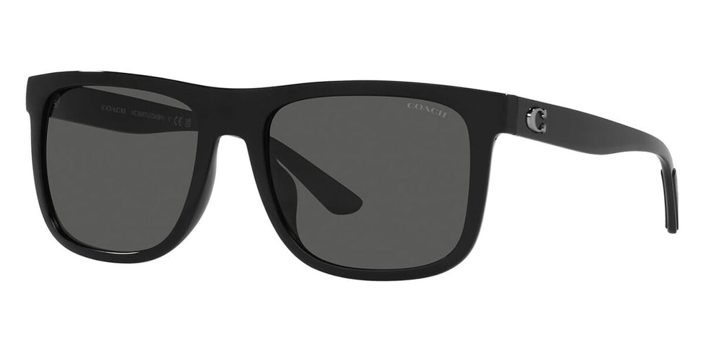 Coach CH581 HC8367U 5002/87 Sunglasses