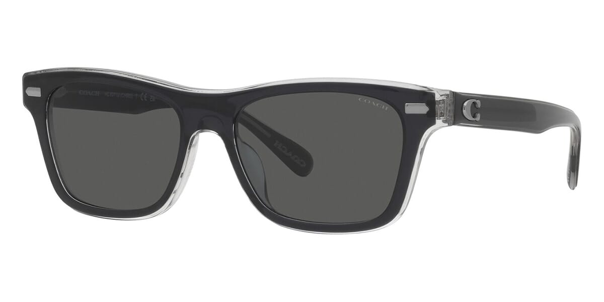 Coach men's online sunglasses