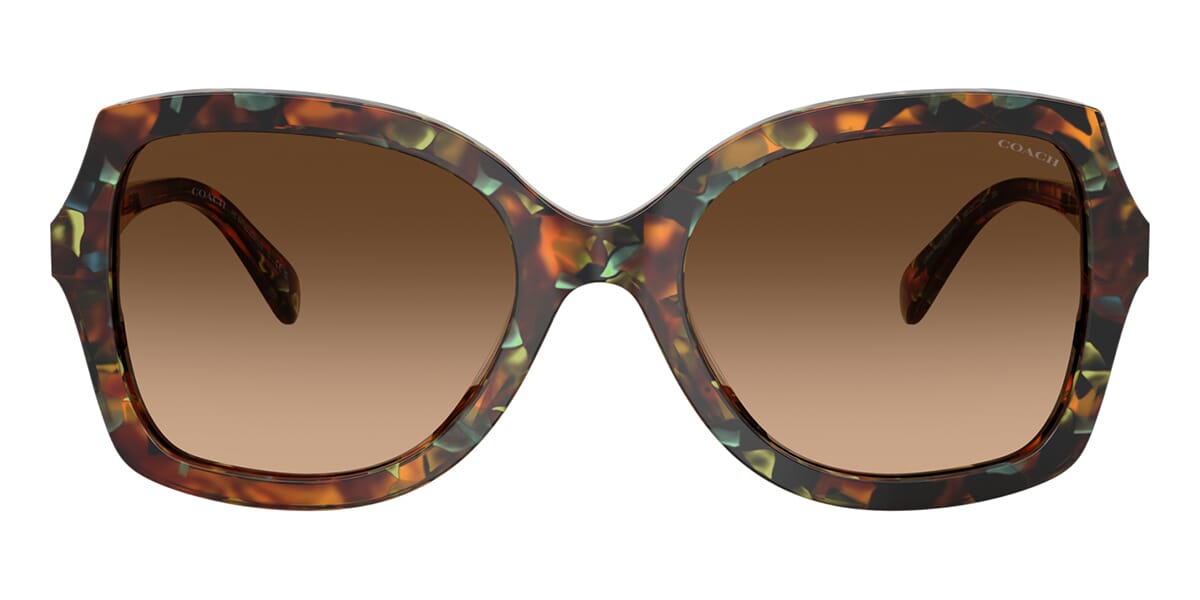 Coach CW225 HC8410U 5844/74 Sunglasses