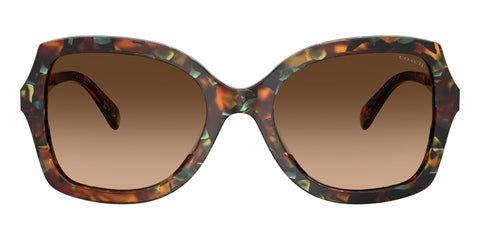 Coach CW225 HC8410U 5844/74 Sunglasses