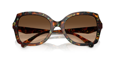 Coach CW225 HC8410U 5844/74 Sunglasses