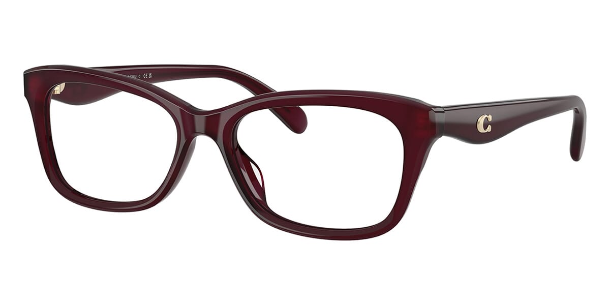 Coach HC6285U 5915 Glasses