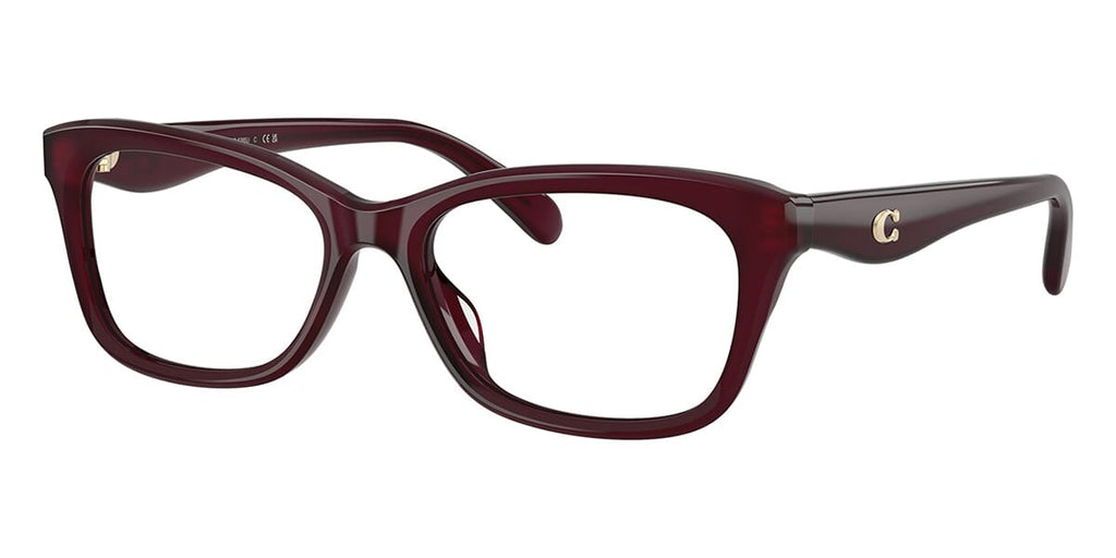 Coach HC6285U 5915 Glasses