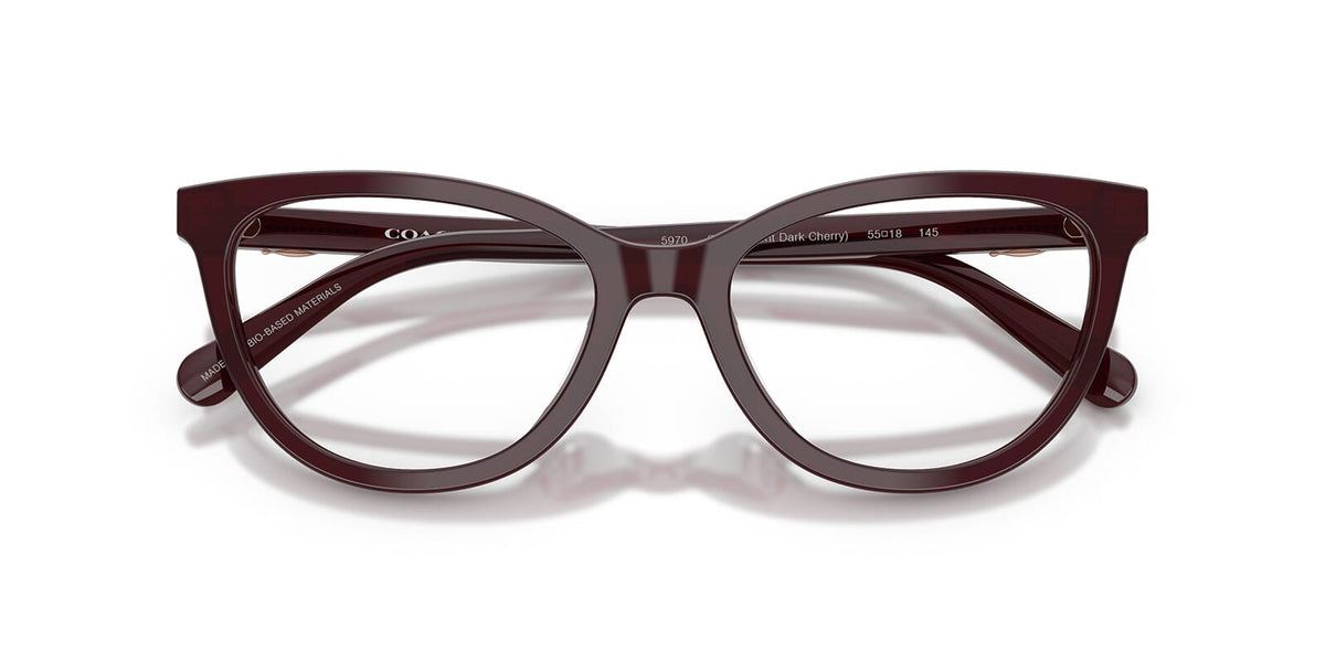 Coach HC6304U 5970 Glasses