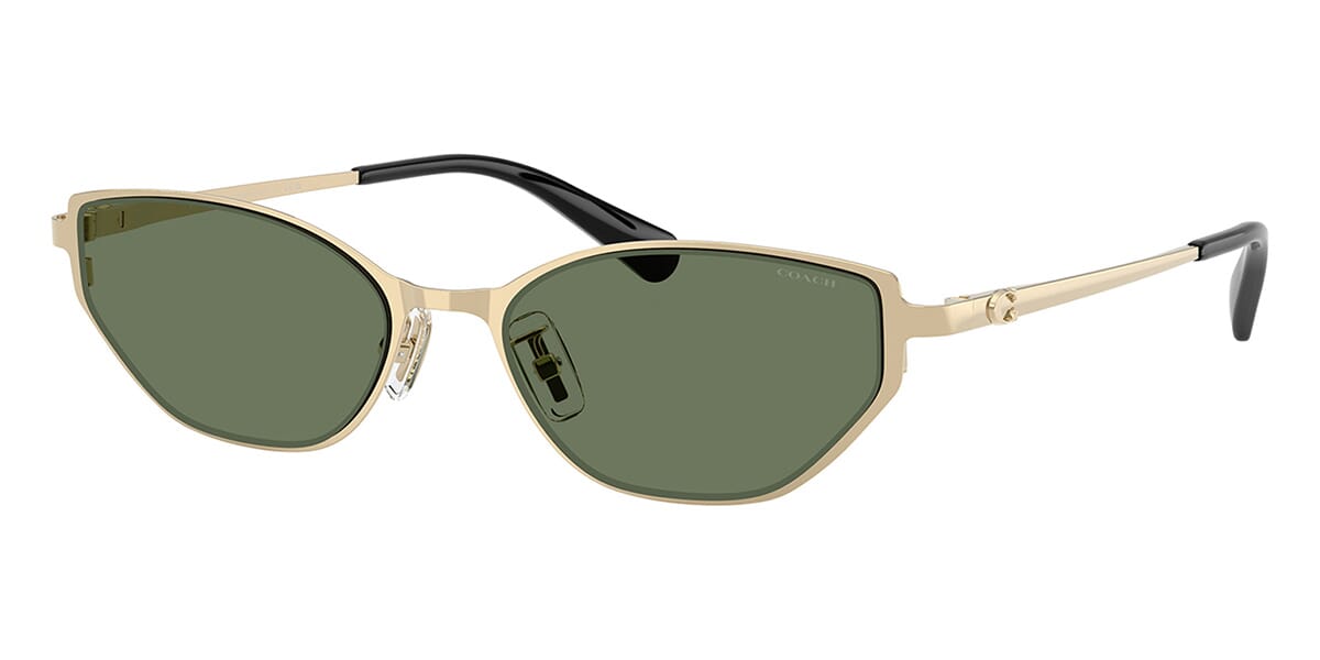 Coach HC7196D 9429/82 Sunglasses