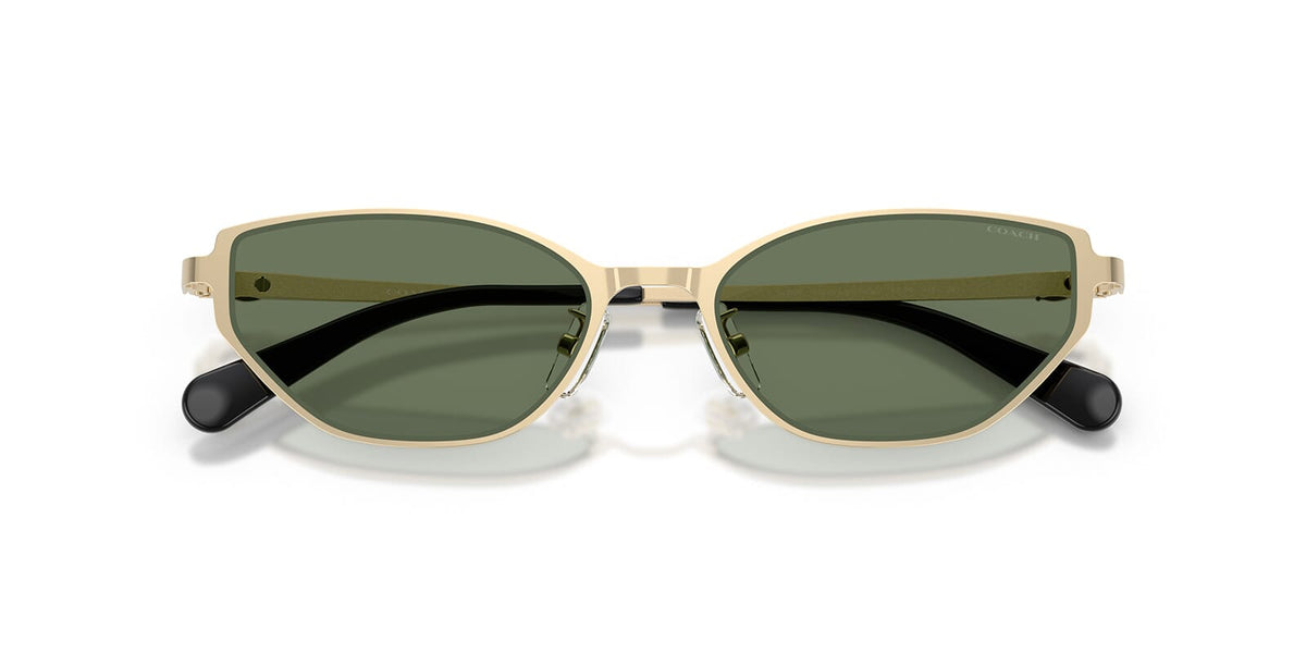 Coach HC7196D 9429/82 Sunglasses