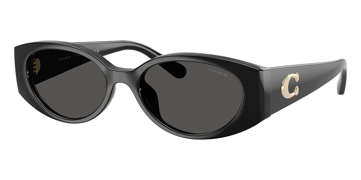 Coach HC8462U 5002/87 Sunglasses