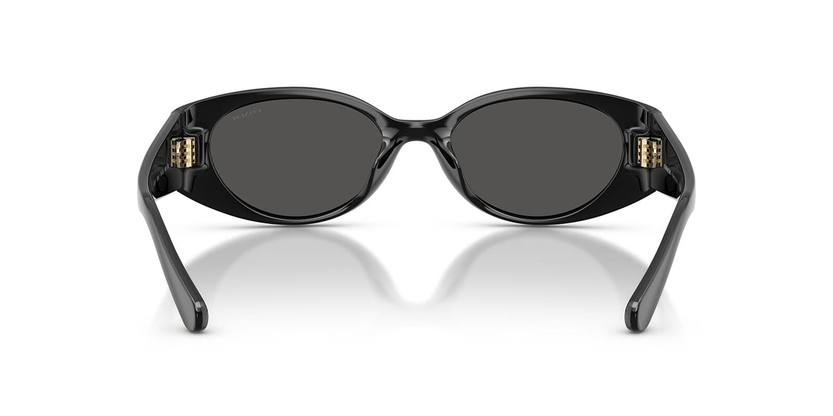 Coach HC8462U 5002/87 Sunglasses