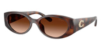 Coach HC8462U 5120/74