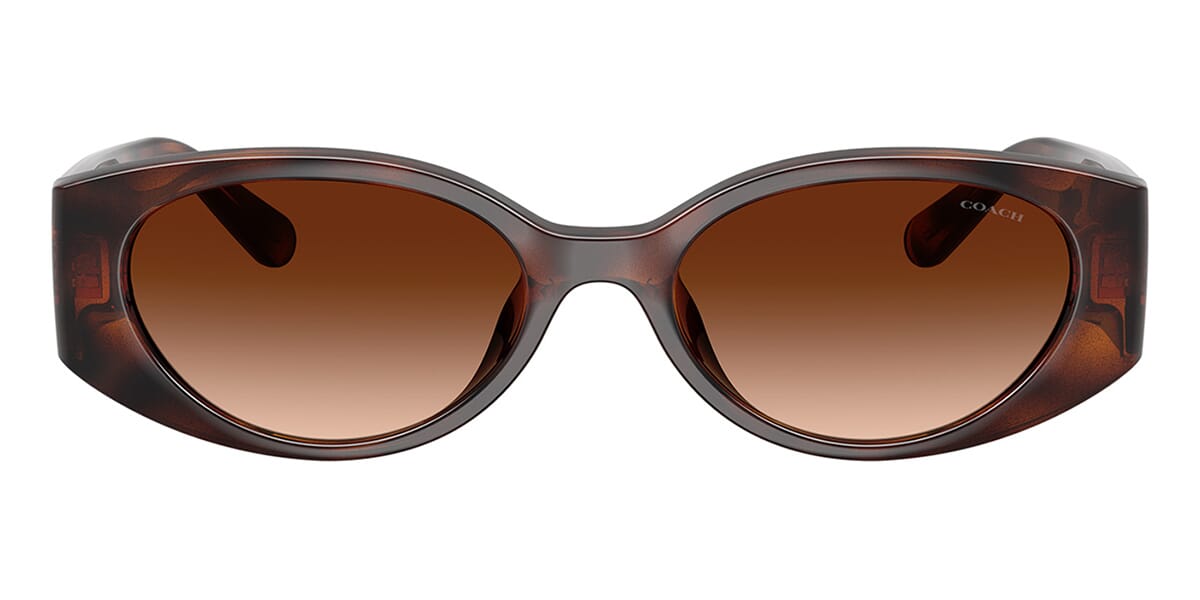 Coach HC8462U 5120/74 Sunglasses