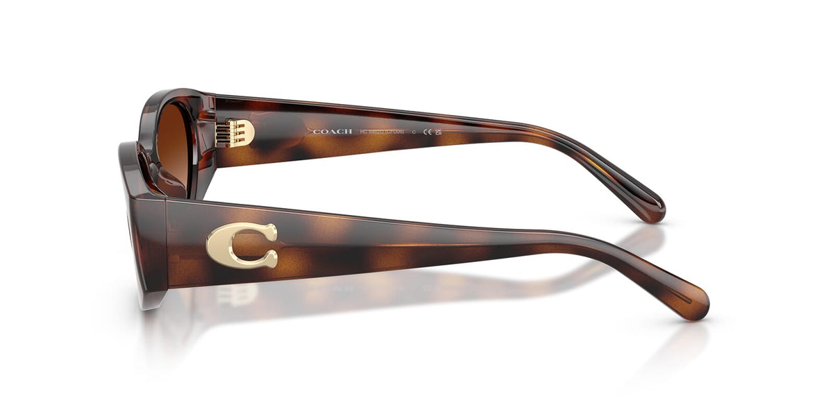 Coach HC8462U 5120/74 Sunglasses