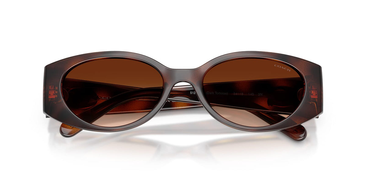 Coach HC8462U 5120/74 Sunglasses