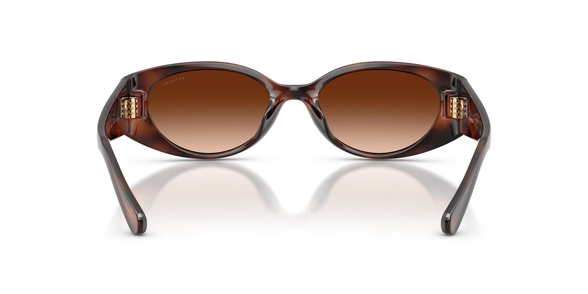 Coach HC8462U 5120/74 Sunglasses