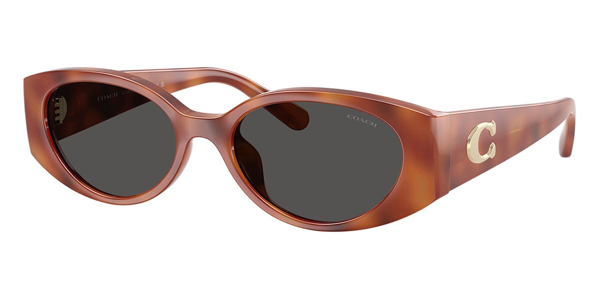 Coach HC8462U 5774/87 Sunglasses