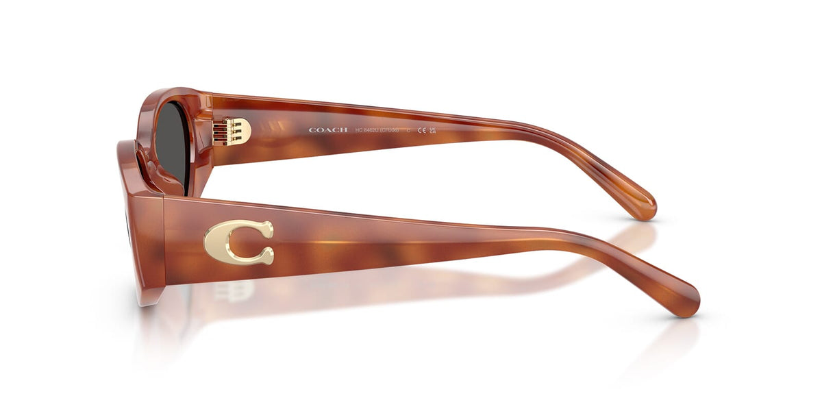 Coach HC8462U 5774/87 Sunglasses