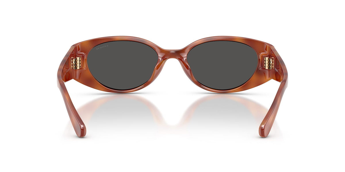 Coach HC8462U 5774/87 Sunglasses