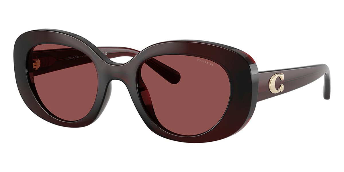 Coach HC8463U 5963/75 Sunglasses