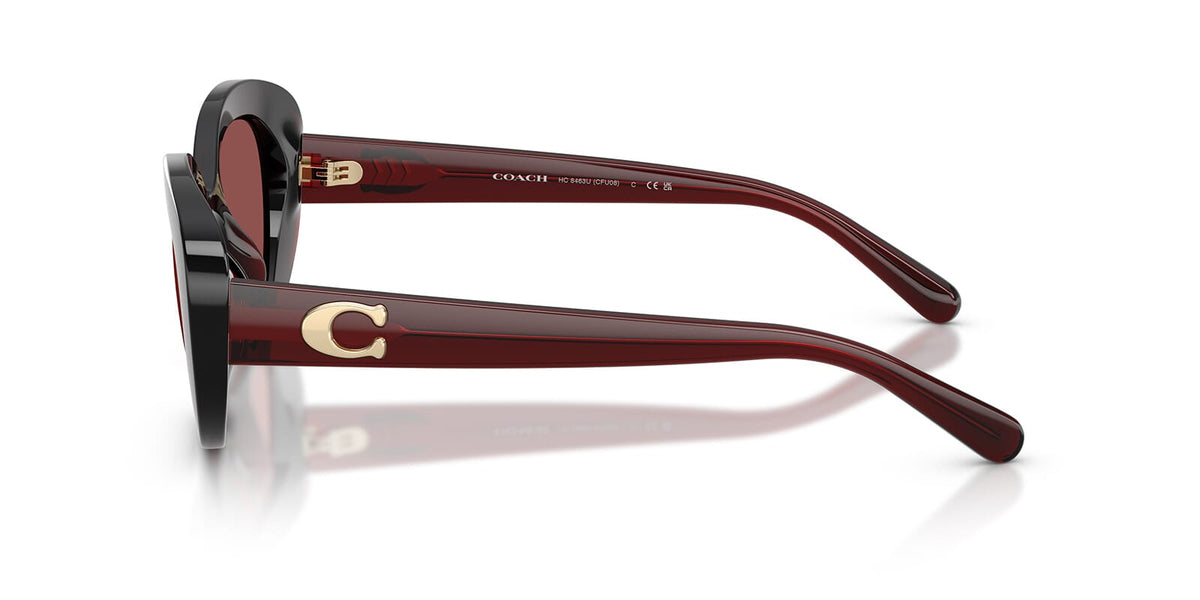 Coach HC8463U 5963/75 Sunglasses