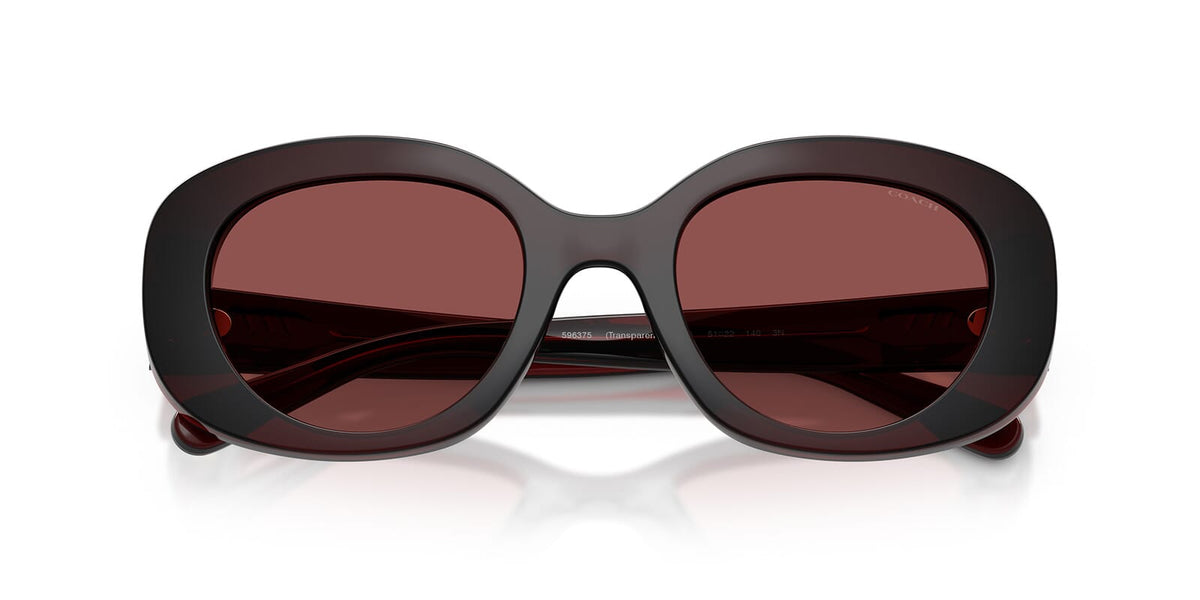 Coach HC8463U 5963/75 Sunglasses