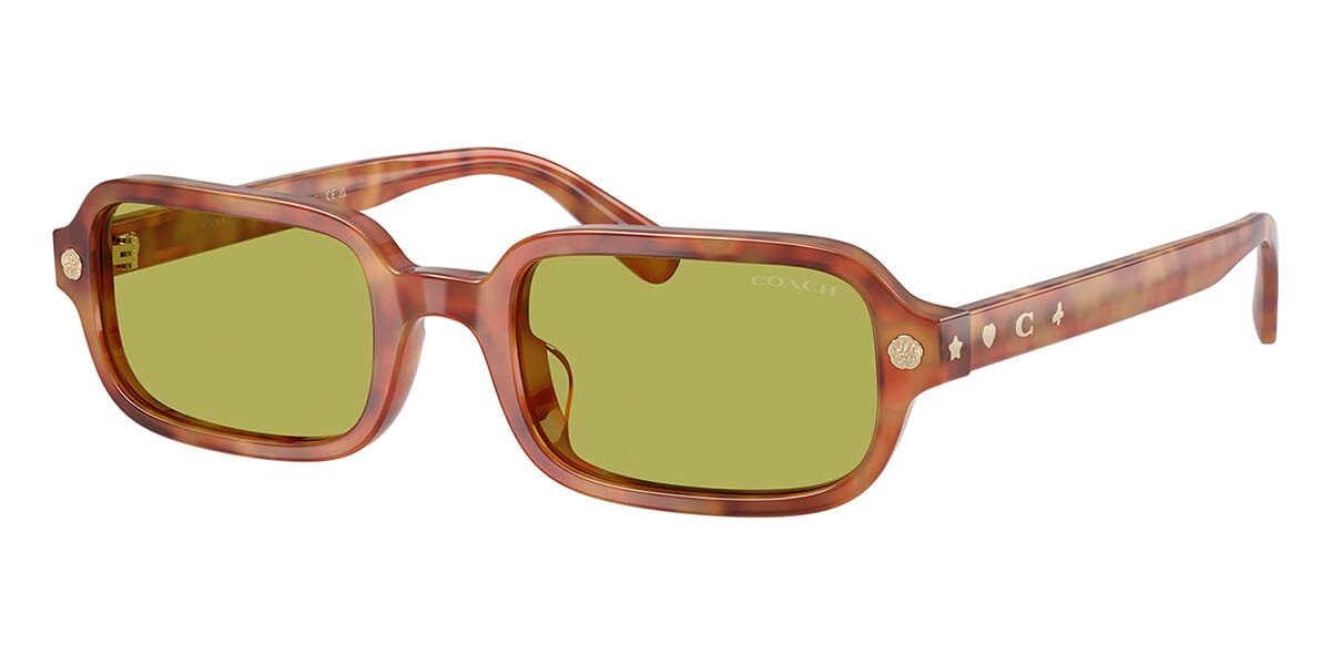 Coach HC8465U 5774/2 Sunglasses
