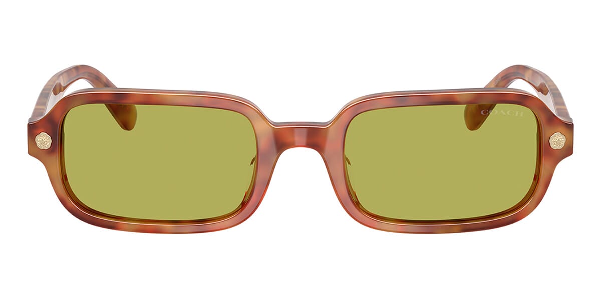 Coach HC8465U 5774/2 Sunglasses