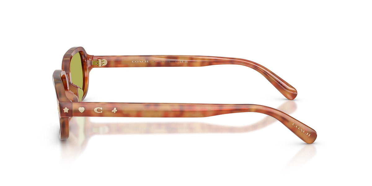 Coach HC8465U 5774/2 Sunglasses