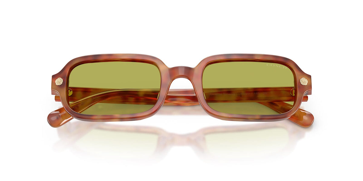 Coach HC8465U 5774/2 Sunglasses