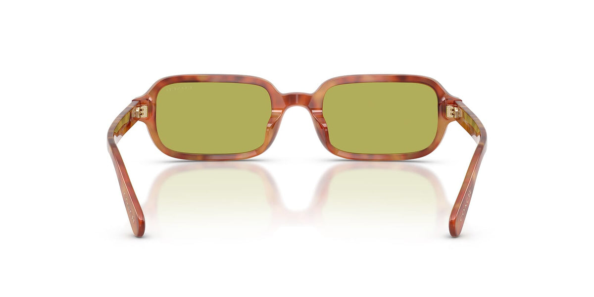 Coach HC8465U 5774/2 Sunglasses