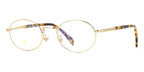 David Beckham DB 1203 HM2 Glasses