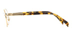 David Beckham DB 1203 HM2 Glasses
