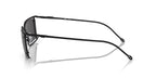 Diesel DL1002 109/87 Sunglasses