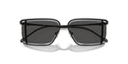 Diesel DL1002 109/87 Sunglasses