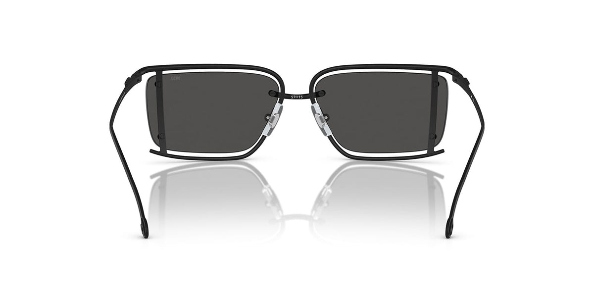 Diesel DL1002 109/87 Sunglasses