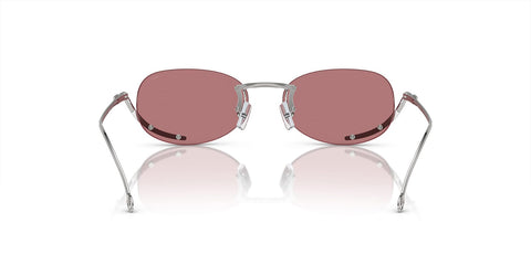 Diesel DL1004 103/E4 Sunglasses