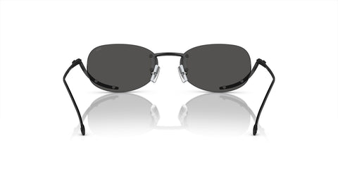 Diesel DL1004 109/87 Sunglasses
