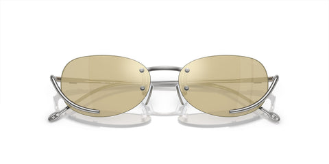 Diesel DL1004 111/V9 Sunglasses