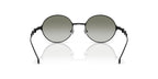 Diesel DL1008 1013/8E Sunglasses