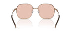 Diesel DL1010D 1030/84 Sunglasses