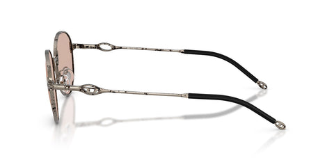 Diesel DL1012D 1032/73 Sunglasses