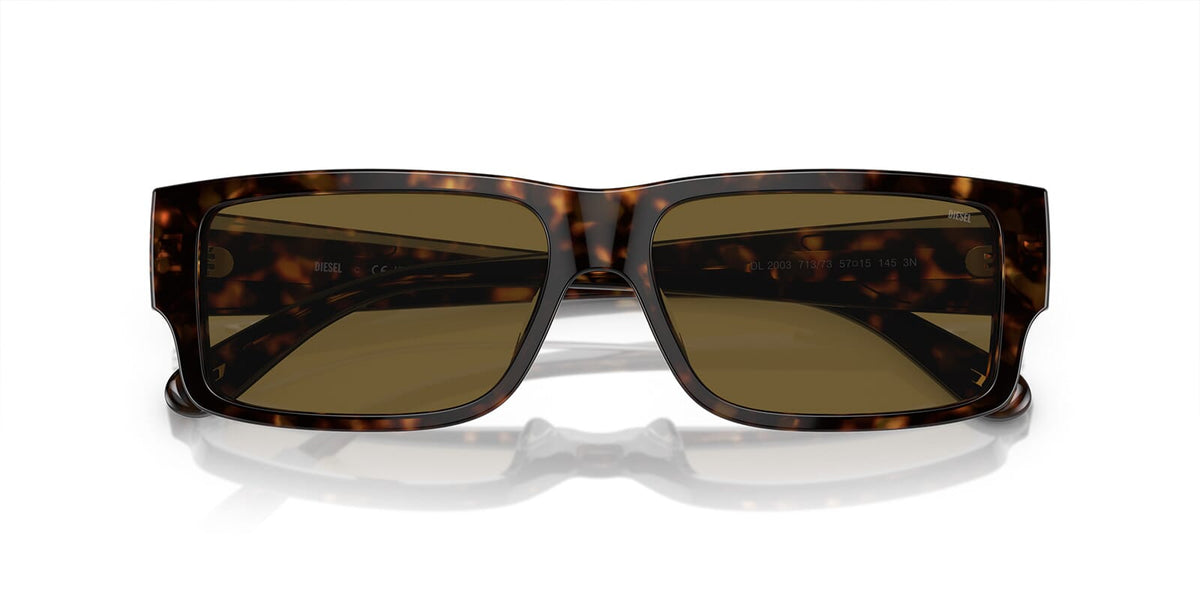 Diesel DL2003 713/73 Sunglasses