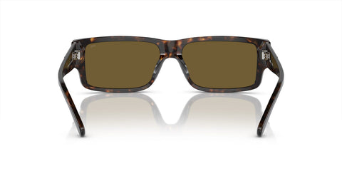 Diesel DL2003 713/73 Sunglasses