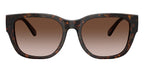Diesel DL2005 2022/13 Sunglasses