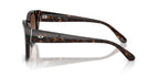 Diesel DL2005 2022/13 Sunglasses