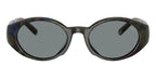 Diesel DL2008U 2042/1 Sunglasses